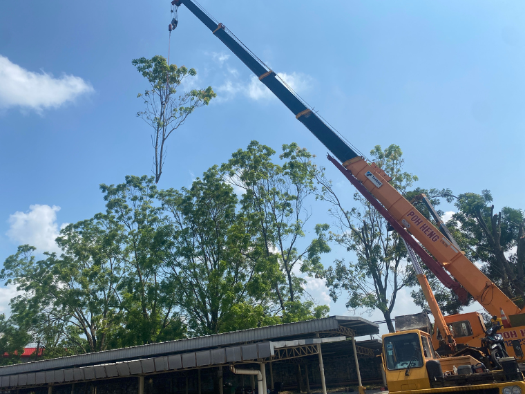 Untitled design (23)