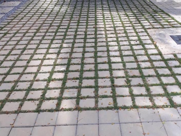 Untitled design (24)