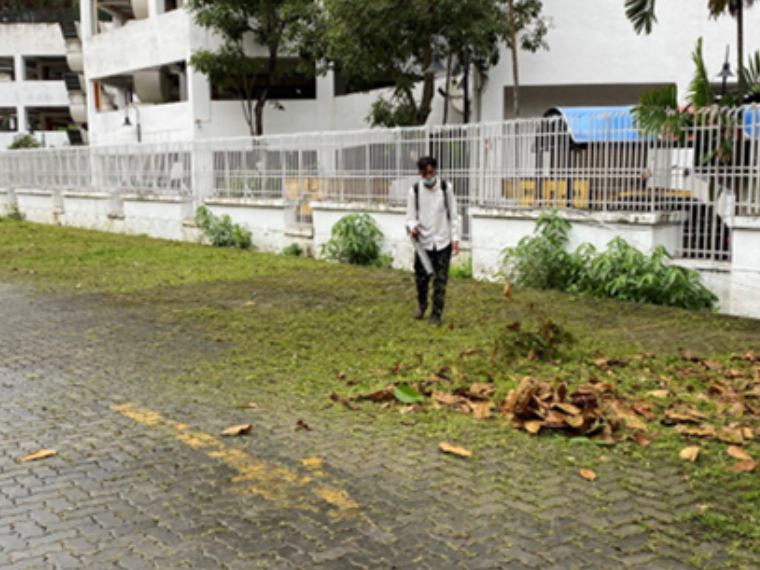 Untitled design (30)