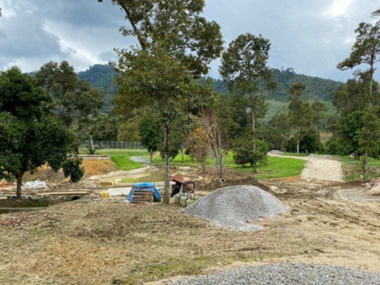 Untitled design (38)