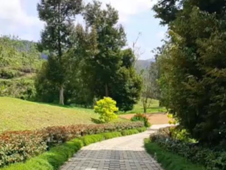 Untitled design (41)